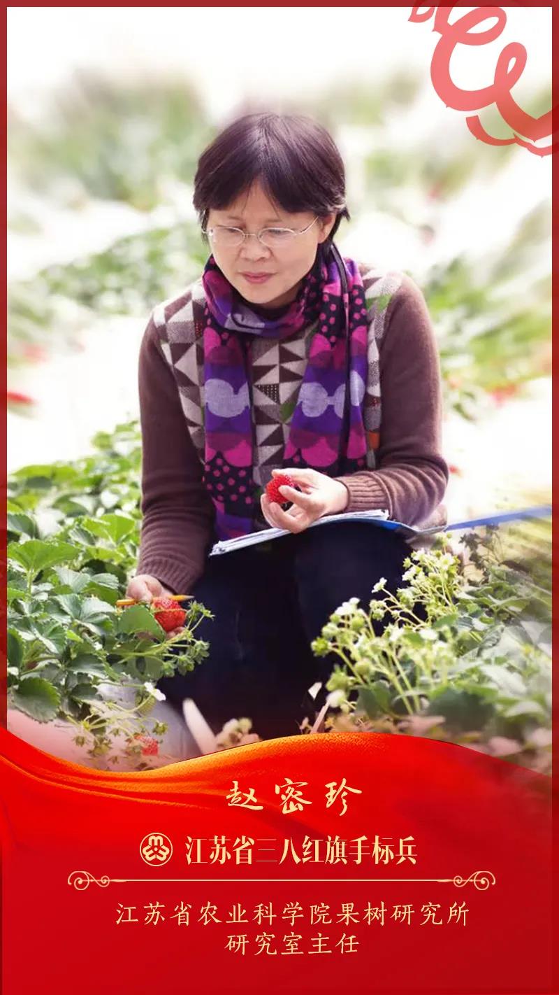 0-赵密珍.jpg