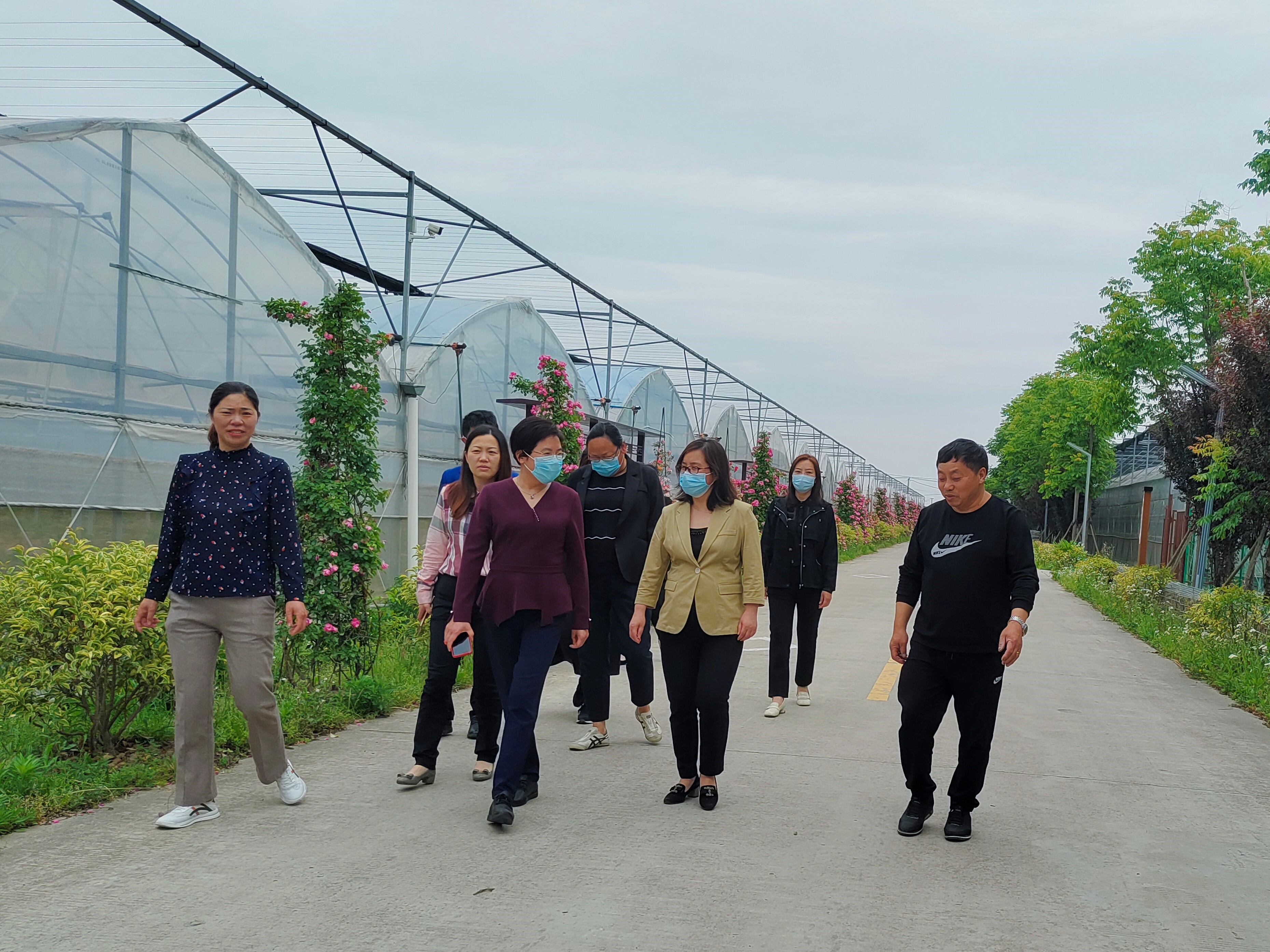 南通市妇联市农业农村局联合开展乡村振兴巾帼行动专题调研