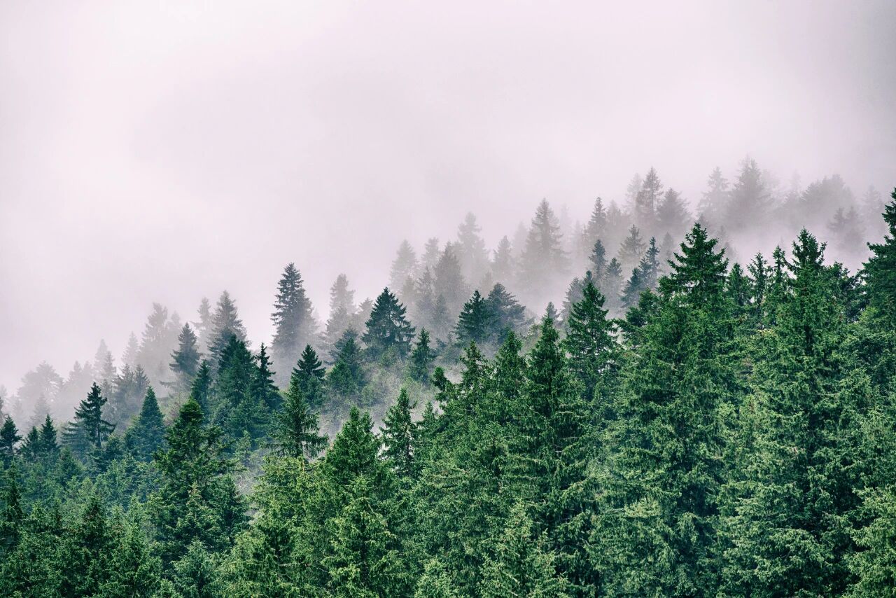 202510301723585AYDOTCL.jpg 微信图片_2025-10-30_172345_695.jpg