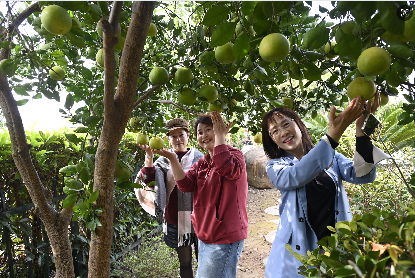 20251104152105SY2D21JM.png 1.png