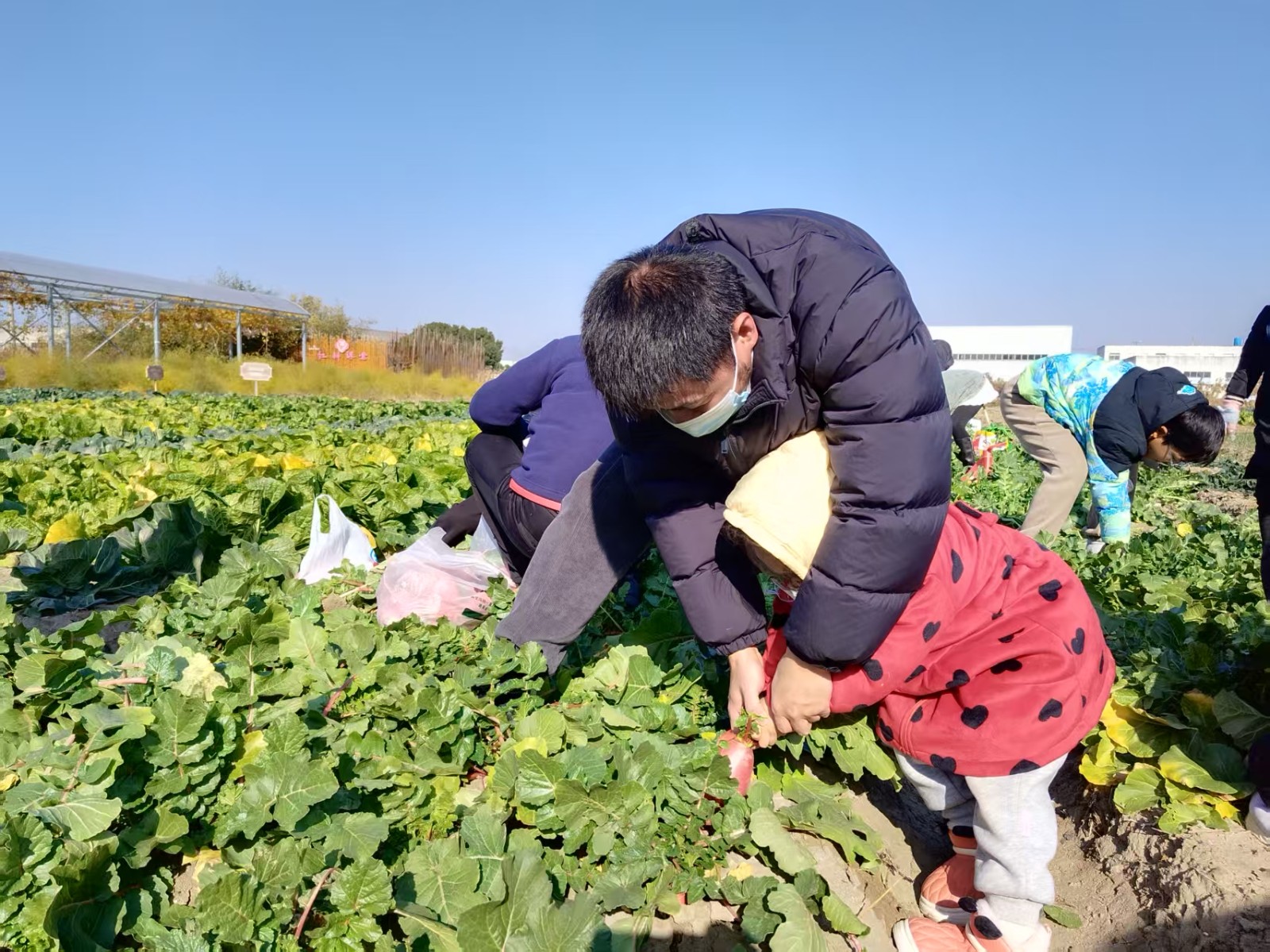 20251216110430TPZPZDO5.jpg 20251216110430TPZPZDO5.jpg