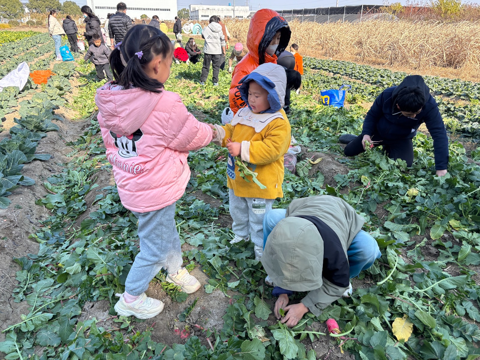 20251216110445XF4TSAAZ.jpg 20251216110445XF4TSAAZ.jpg