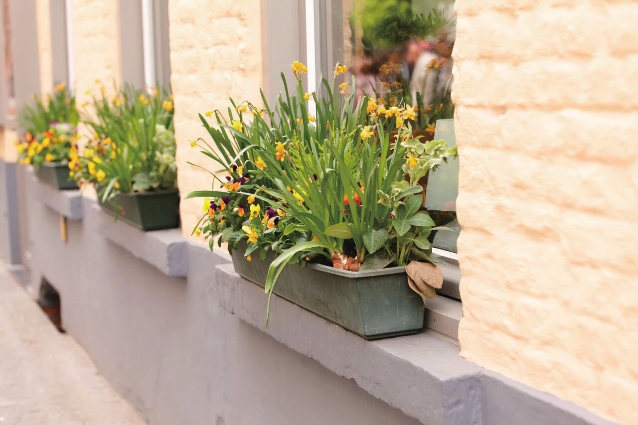 20260205162438N7ZMJOZE.jpg 4.jpg