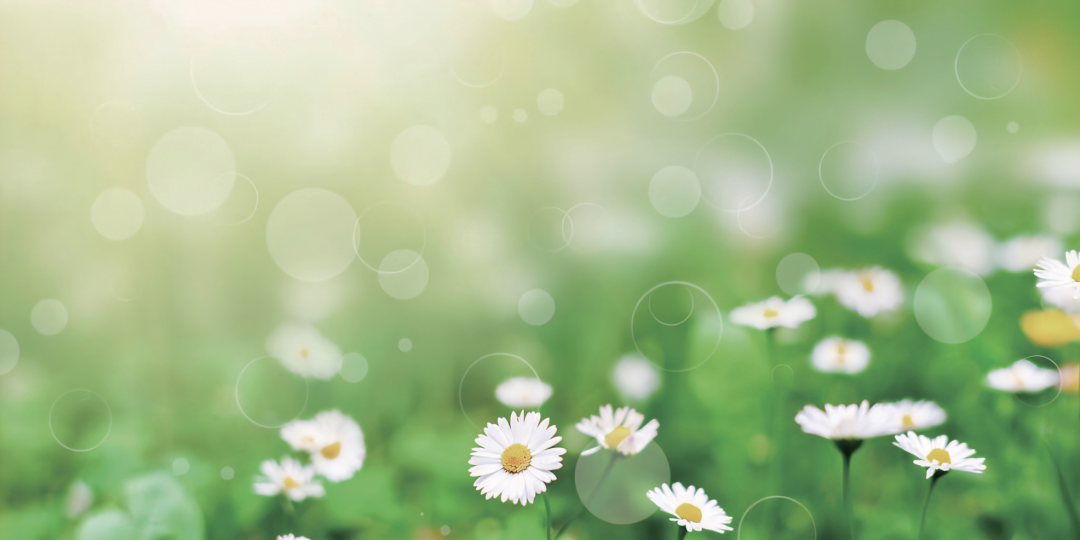 20260319094315HXXCMJTZ.png 童年的纸飞机.png