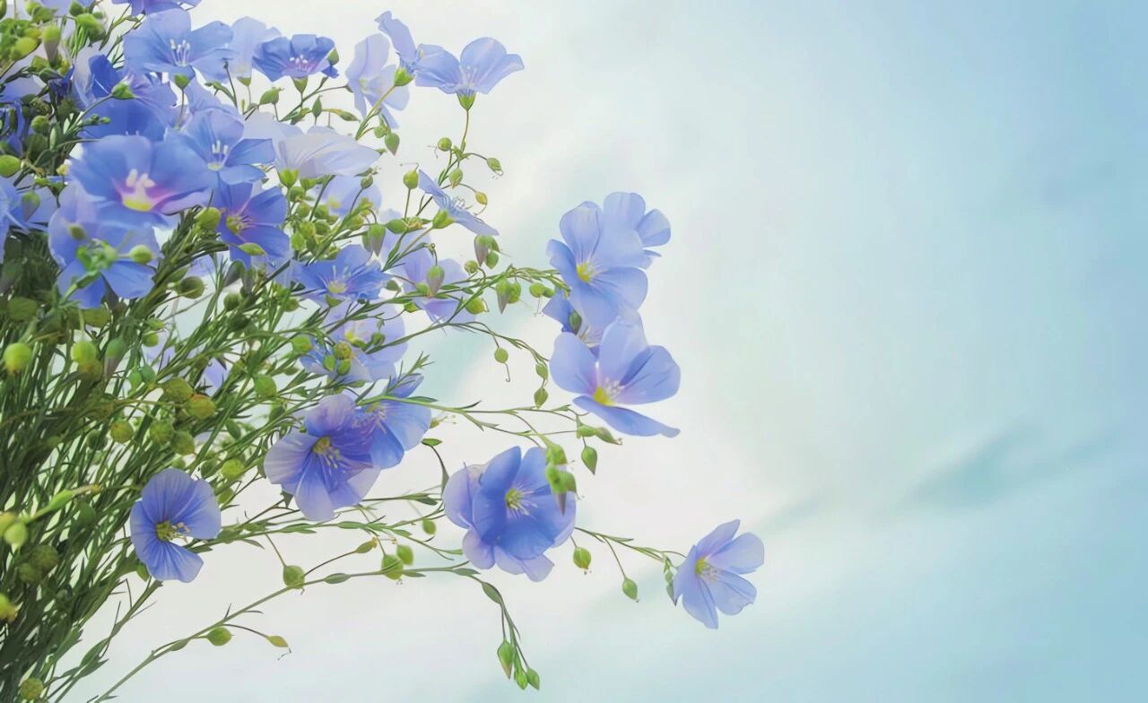 20260319094907ECEK7SBI.jpg 被拒绝的棒棒糖.jpg