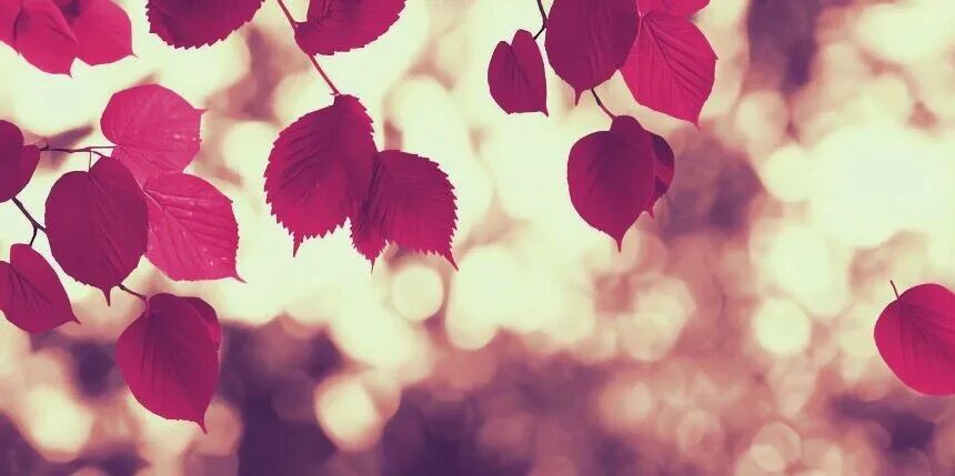 20260326110709KMJFZLPQ.jpg 比记住公式更重要的事.jpg