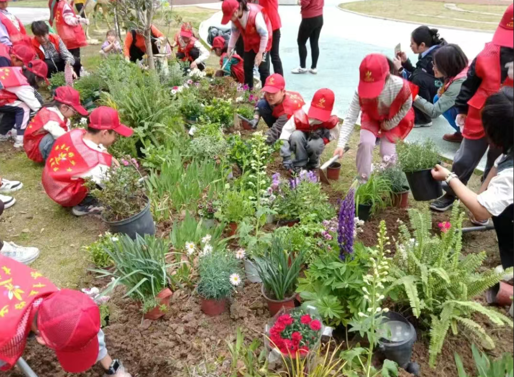 202606121041292VN4UL80.png 屏幕截图 2026-06-12 103915.png