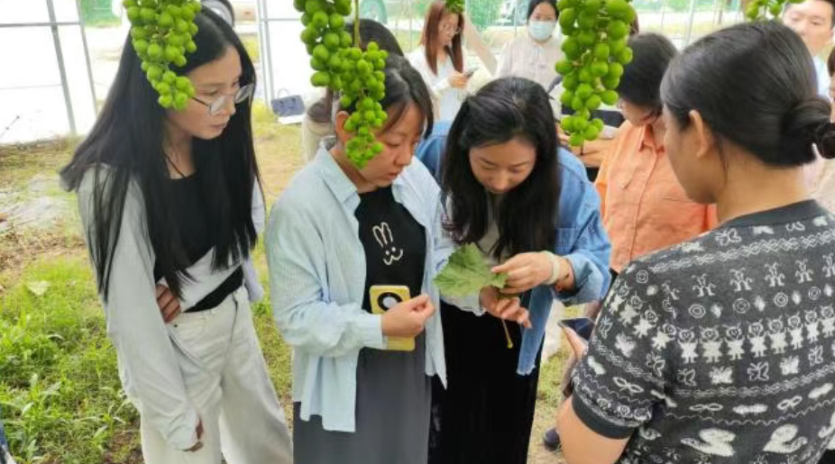20260618152547U2DMH4CN.png 屏幕截图 2026-06-18 152511.png