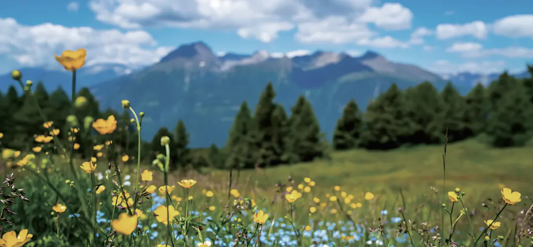 20260702092439Q6CNF6I8.png 640.webp (1).png