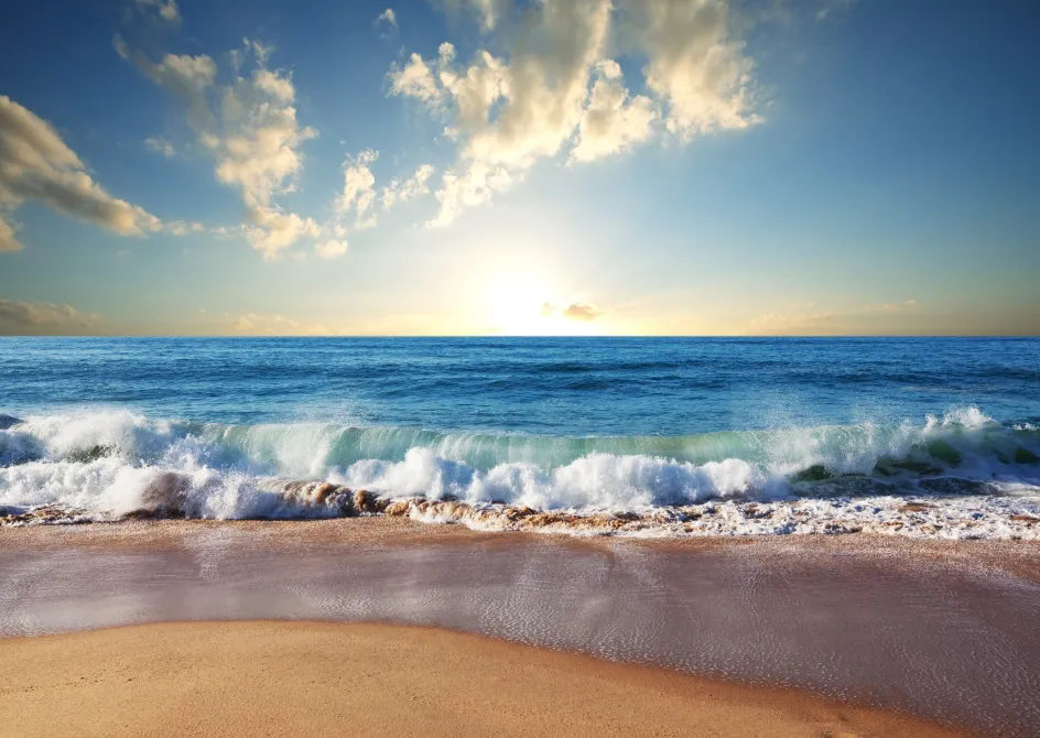 20260709092949YHIQT5O1.png 640.webp (7).png