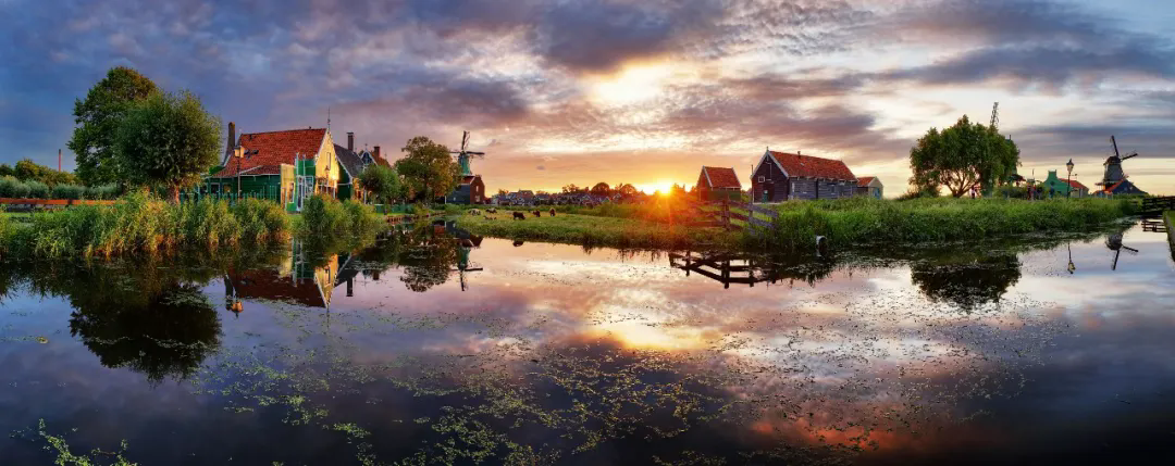 640.webp (8).png