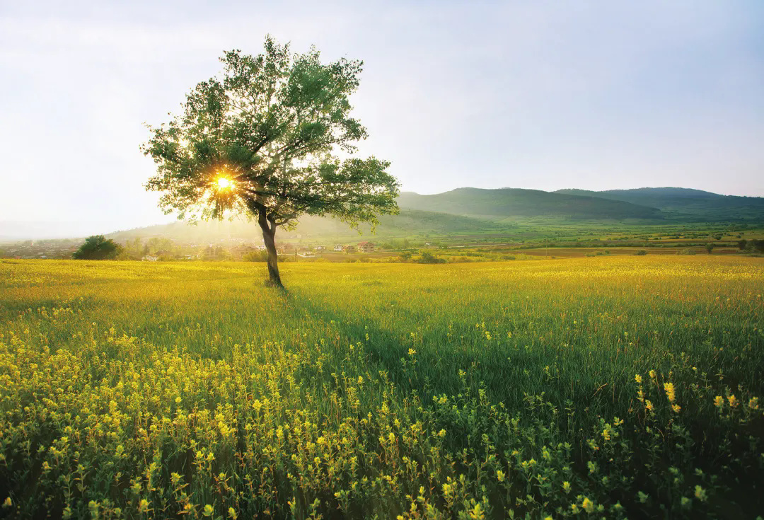 640.webp (14).png