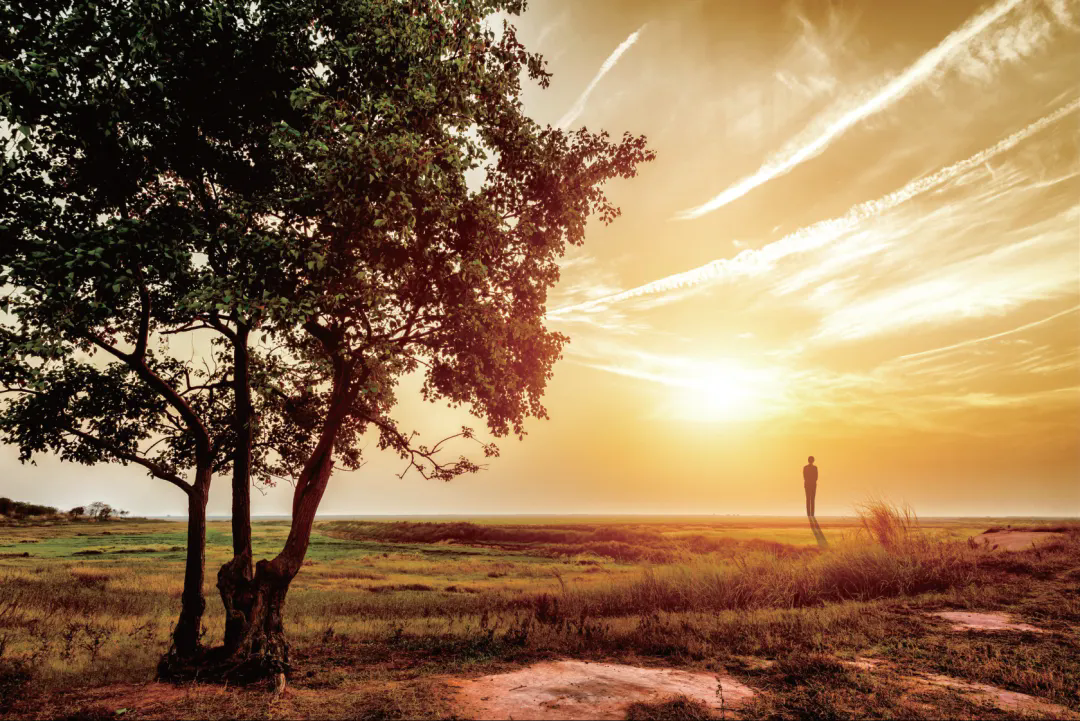 20260806094136RMN0TYL9.png 640.webp.png