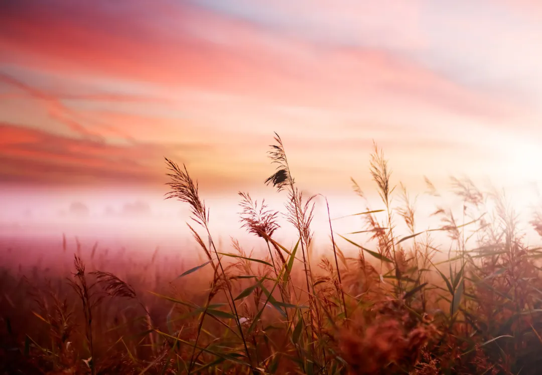 20260820195243YLPJLUR6.png 640.webp (7).png