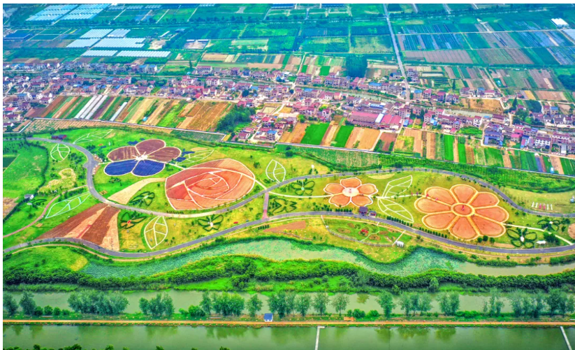 20260920100322SYU7ZC4L.png 南京基层种地图1.png