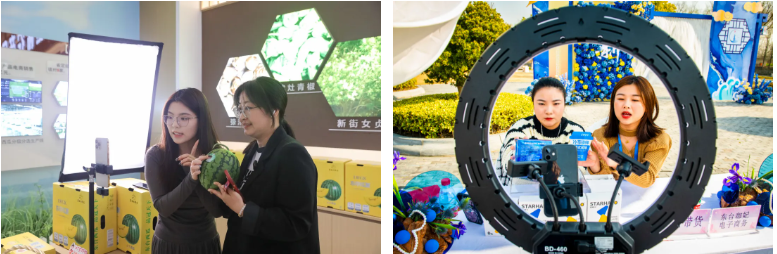 20261012102825DYMCDXOO.png 1012 东亭图1.png